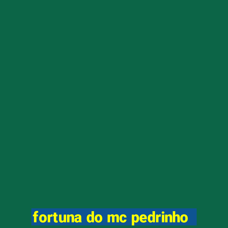 fortuna do mc pedrinho